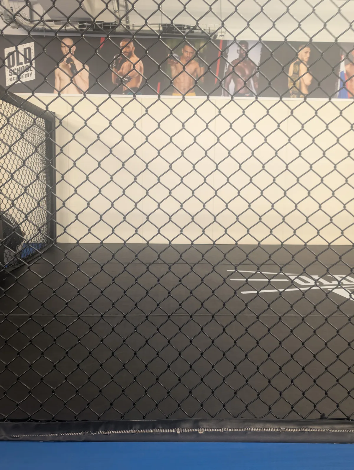 Cage MMA Old School Academy à Villecresnes